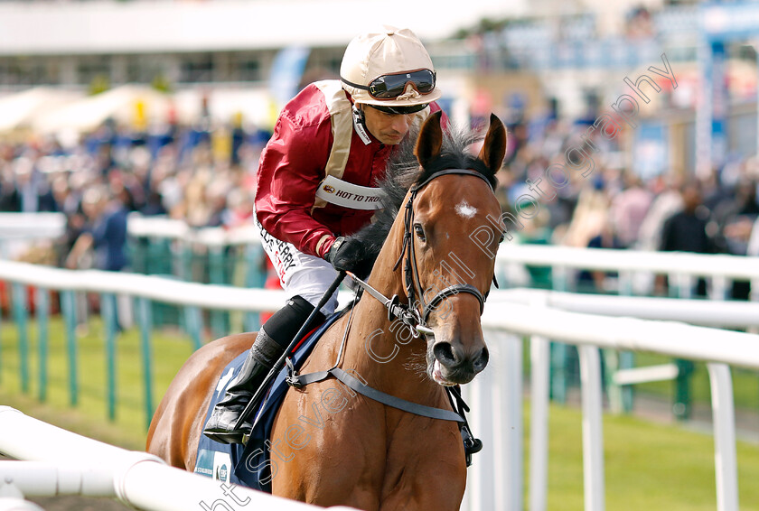 Skellig-Isle-0001 
 SKELLIG ISLE (Silvestre de Sousa)
Doncaster 12 Sep 20234 - Pic Steven Cargill / Racingfotos.com