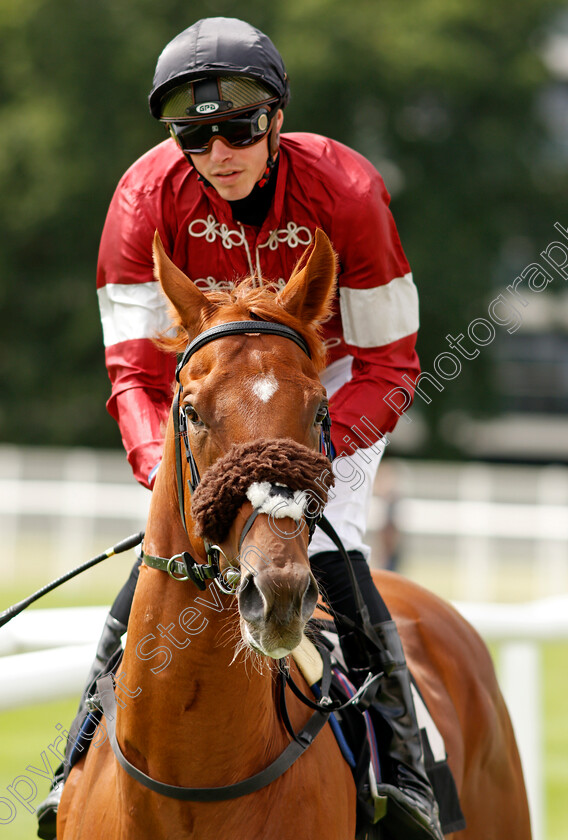 Unilateralism-0001 
 UNILATERALISM (James Doyle)
Newbury 13 Aug 2021 - Pic Steven Cargill / Racingfotos.com