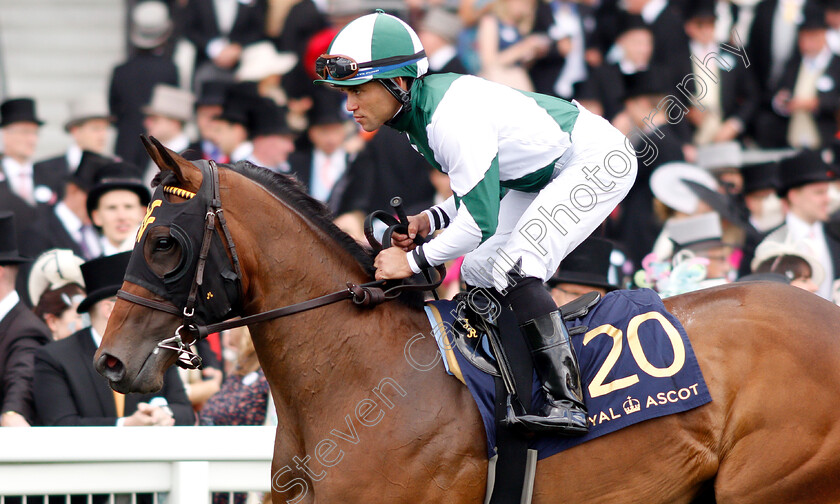 Nayibeth-0002 
 NAYIBETH (Joel Rosario)
Royal Ascot 21 Jun 2019 - Pic Steven Cargill / Racingfotos.com