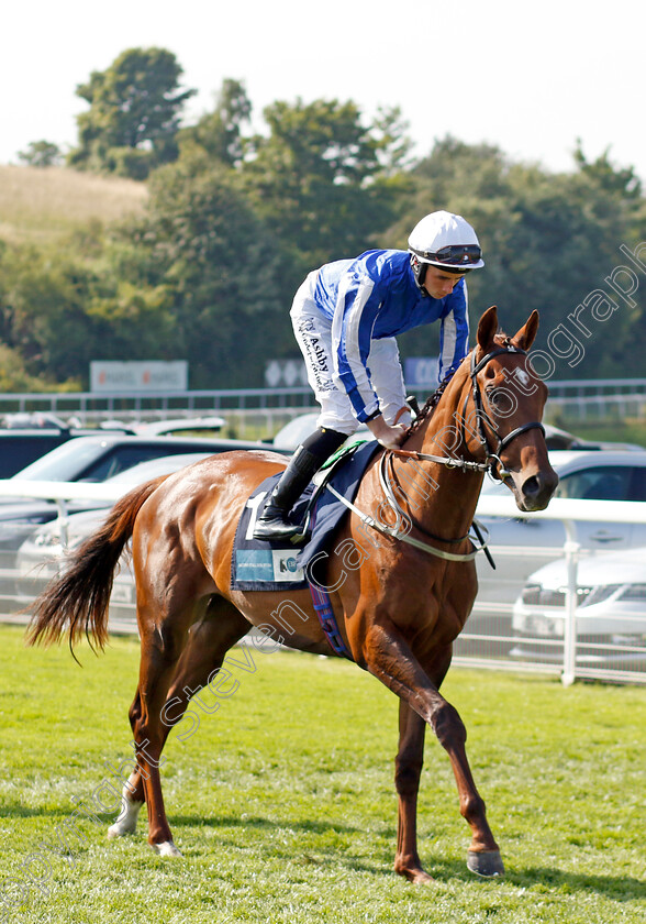 Blue-Pinatubo-0001 
 BLUE PINATUBO (Rossa Ryan)
Goodwood 30 Jul 2024 - Pic Steven Cargill / Racingfotos.com