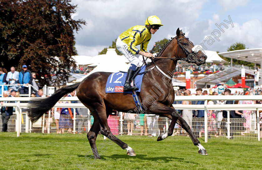 Golden-Move-0001 
 GOLDEN MOVE (Cam Hardie)
York 26 Aug 2023 - Pic Steven Cargill / Racingfotos.com