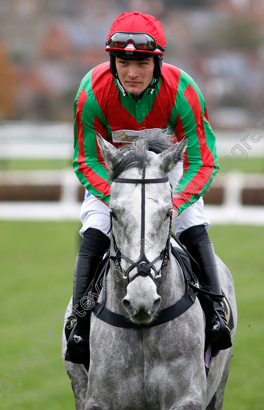 Spinnaker-Blue-0001 
 SPINNAKER BLUE (Charlie Todd)
Warwick 22 Nov 2023 - Pic Steven Cargill / Racingfotos.com