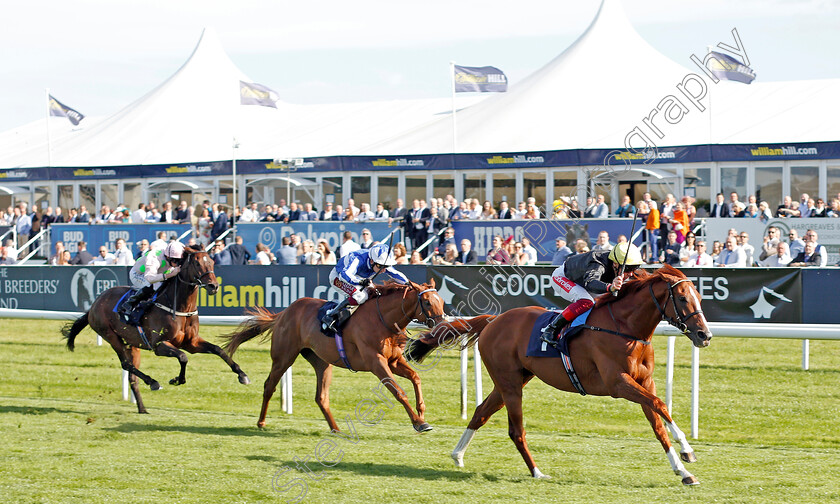 Stradivarius-0006 
 STRADIVARIUS (Frankie Dettori) wins The Magners Rose Doncaster Cup
Doncaster 13 Sep 2019 - Pic Steven Cargill / Racingfotos.com