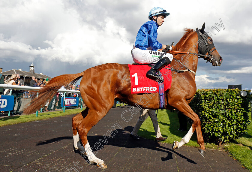 Gather-Ye-Rosebuds-0001 
 GATHER YE ROSEBUDS (Jamie Spencer)
Doncaster 12 Sep 20234 - Pic Steven Cargill / Racingfotos.com