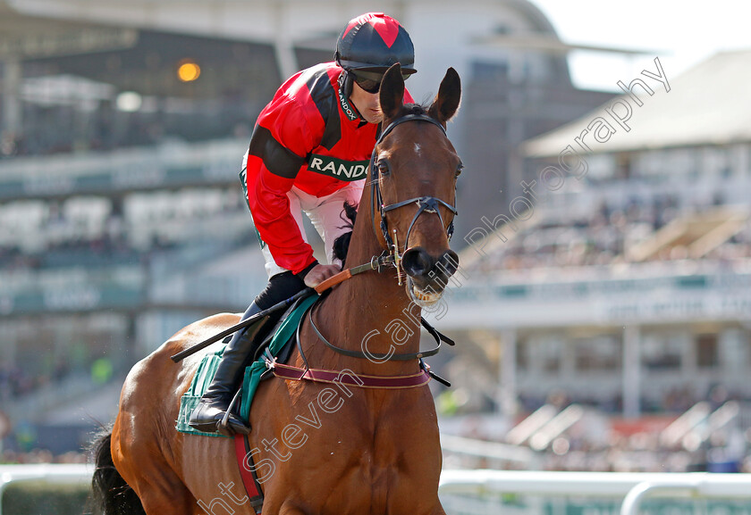 Ahoy-Senor-0001 
 AHOY SENOR (Brian Hughes)
Aintree 13 Apr 2023 - Pic Steven Cargill / Racingfotos.com