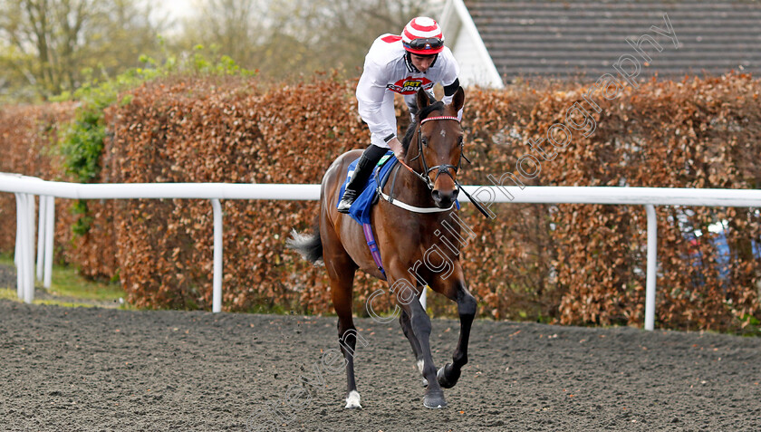 Brioni-0006 
 BRIONI (Rossa Ryan) winner of The Unibet More Boosts In More Races Maiden Stakes Div1
Kempton 3 Apr 2024 - Pic Steven Cargill / Racingfotos.com