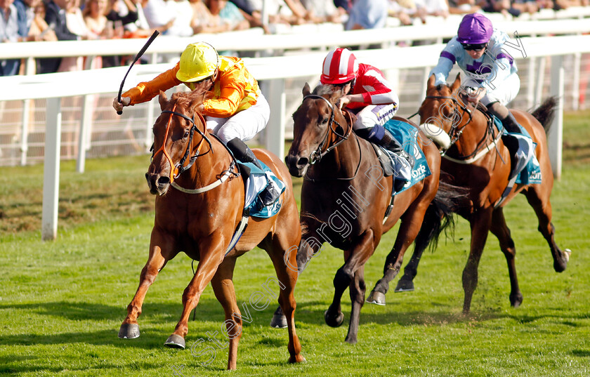 Treasure-Trove-0003 
 TREASURE TROVE (W J Lee) beats ROCKET RODNEY (centre) in The Julia Graves Roses Stakes
York 20 Aug 2022 - Pic Steven Cargill / Racingfotos.com