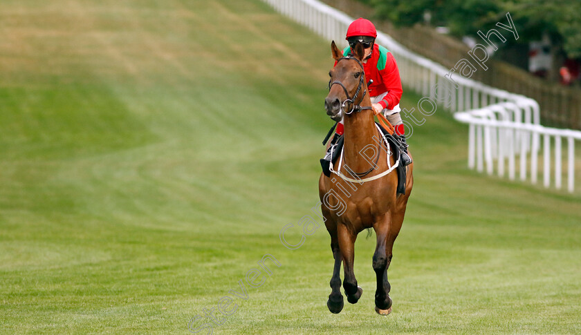 Temporize-0001 
 TEMPORIZE (Franny Norton) winner of The Bet At Racingtv.com Novice Stakes
Newmarket 22 Jul 2022 - Pic Steven Cargill / Racingfotos.com