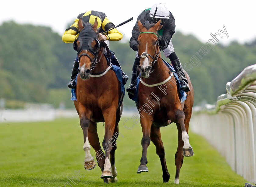 Haliphon-0006 
 HALIPHON (right, Royston Ffrench) beats MONSIEUR LAMBRAYS (left, Oisin Orr) in The Andy Thornton Hospitality Furniture Handicap
York 10 Jun 2022 - Pic Steven Cargill / Racingfotos.com