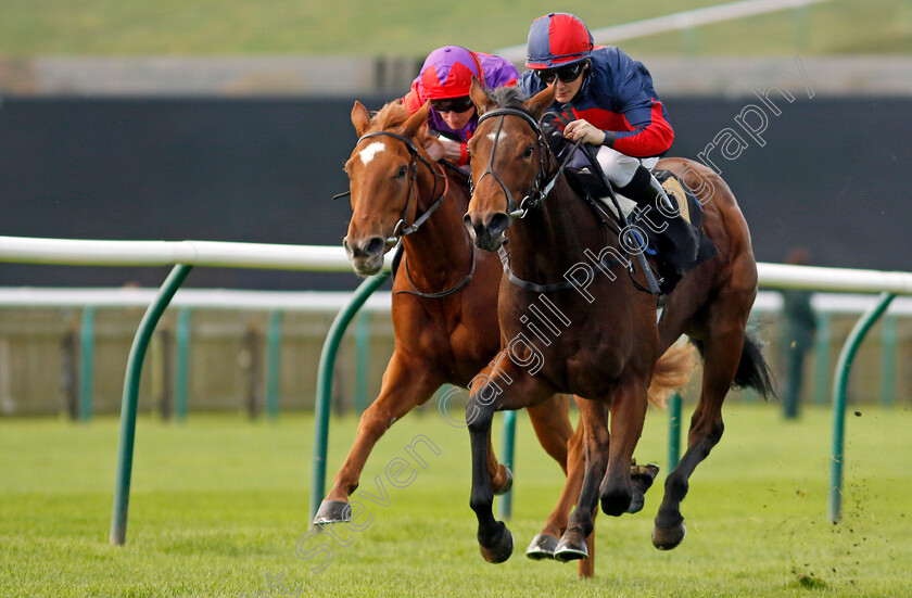 Misty-Sky-0004 
 MISTY SKY (Aidan Keeley) wins The Prestige Vehicles Fillies Restricted Novice Stakes
Newmarket 23 Oct 2024 - Pic Steven Cargill / Racingfotos.com