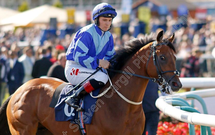 Magnum-Force-0001 
 MAGNUM FORCE (Colin Keane)
Doncaster 13 Sep 2024 - Pic Steven Cargill / Racingfotos.com