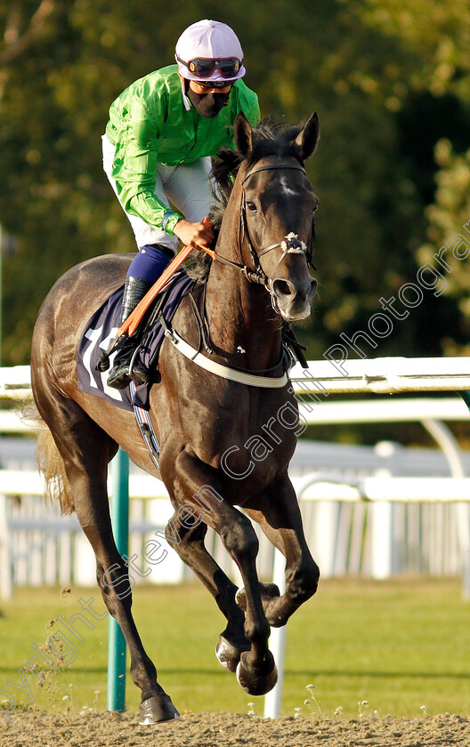 Signal-Twenty-Nine-0001 
 SIGNAL TWENTY NINE (Pierre-Louis Jamin)
Lingfield 5 Aug 2020 - Pic Steven Cargill / Racingfotos.com