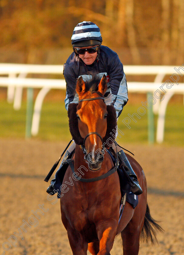 Uther-Pendragon-0001 
 UTHER PENDRAGON (Liam Keniry)
Lingfield 4 Jan 2020 - Pic Steven Cargill / Racingfotos.com