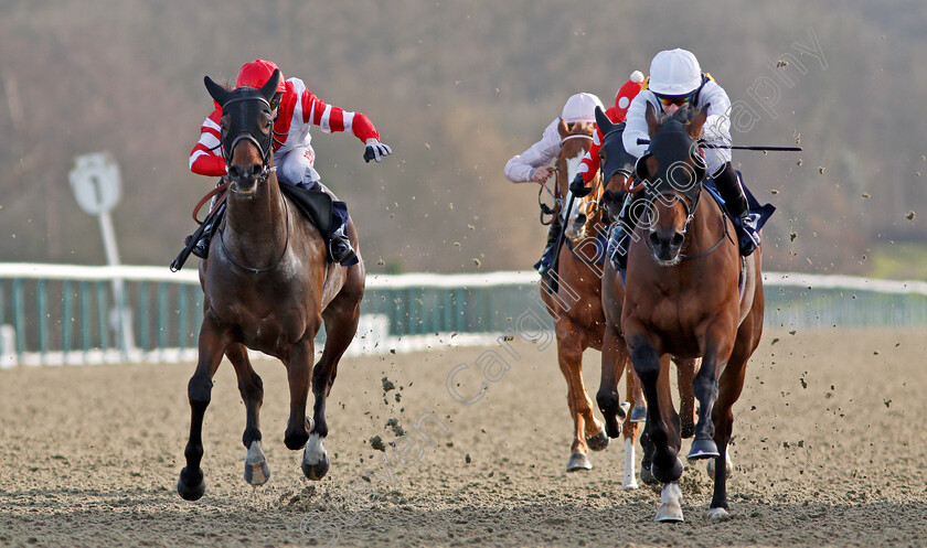 Burrumbeet-0005 
 BURRUMBEET (right, Richard Kingscote) beats DRAGON MALL (left) in The Play Jackpot Games At sunbets.co.uk/vegas Novice Stakes Lingfield 16 Feb 2018 - Pic Steven Cargill / Racingfotos.com