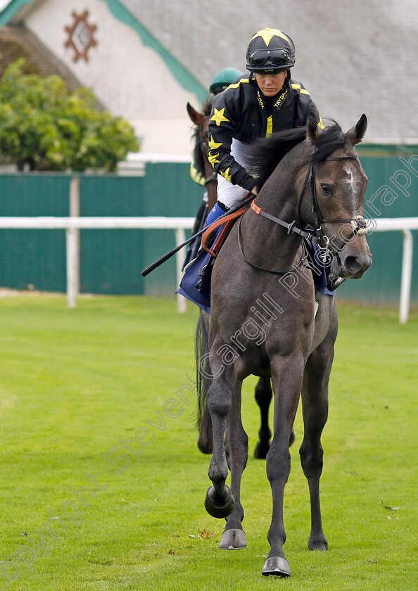 Cock-And-Bull-0001 
 COCK AND BULL (Jay Mackay)
Yarmouth 20 Sep 2023 - Pic Steven Cargill / Racingfotos.com