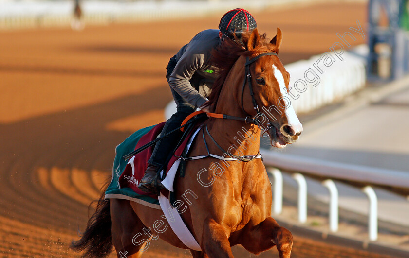 Sonnyboyliston-0001 
 SONNYBOYLISTON training for The Turf Handicap
King Abdulaziz Racetrack, Riyadh, Saudi Arabia 23 Feb 2022 - Pic Steven Cargill / Racingfotos.com