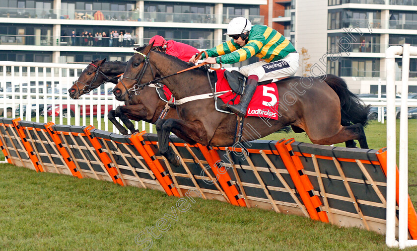 Epatante-0002 
 EPATANTE (Aidan Coleman) wins The Ladbrokes Intermediate Limited Handicap Hurdle
Newbury 30 Nov 2019 - Pic Steven Cargill / Racingfotos.com