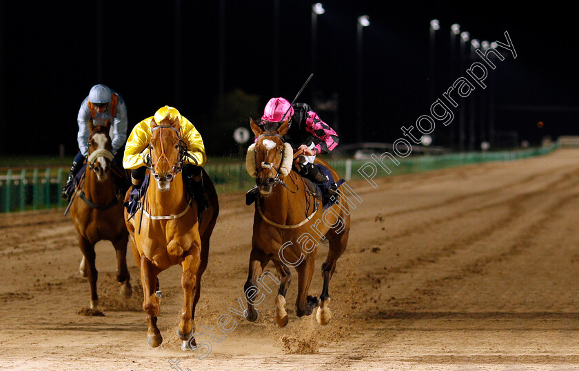 Zylan-0001 
 ZYLAN (left, Callum Rodriguez) beats PRIVATE MATTER (right) in The Betway Handicap
Southwell 15 Jan 2020 - Pic Steven Cargill / Racingfotos.com