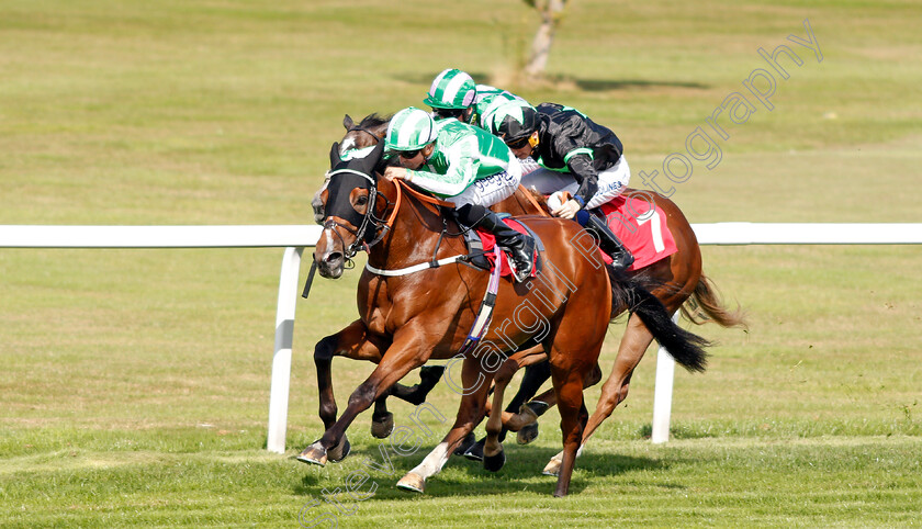 Port-Winston-0003 
 PORT WINSTON (David Probert) wins The Betway Nursery
Sandown 30 Aug 2019 - Pic Steven Cargill / Racingfotos.com