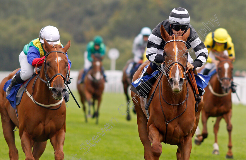 Piselli-Molli-0006 
 PISELLI MOLLI (Morgan Cole) beats WINNETKA (left) in The Byerley Stud Racing Excellence Apprentice Handicap
Salisbury 2 Sep 2021 - Pic Steven Cargill / Racingfotos.com