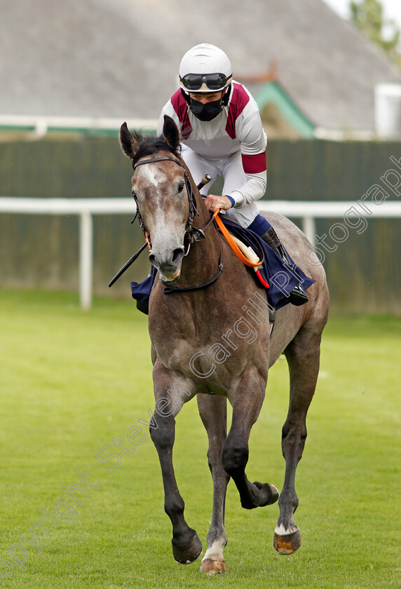 Charming-Wally-0001 
 CHARMING WALLY (Jim Crowley)
Yarmouth 14 Jul 2021 - Pic Steven Cargill / Racingfotos.com