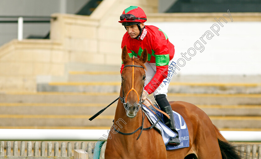 Rich-0002 
 RICH (Pat Dobbs)
Newmarket 23 Sep 2022 - Pic Steven Cargill / Racingfotos.com