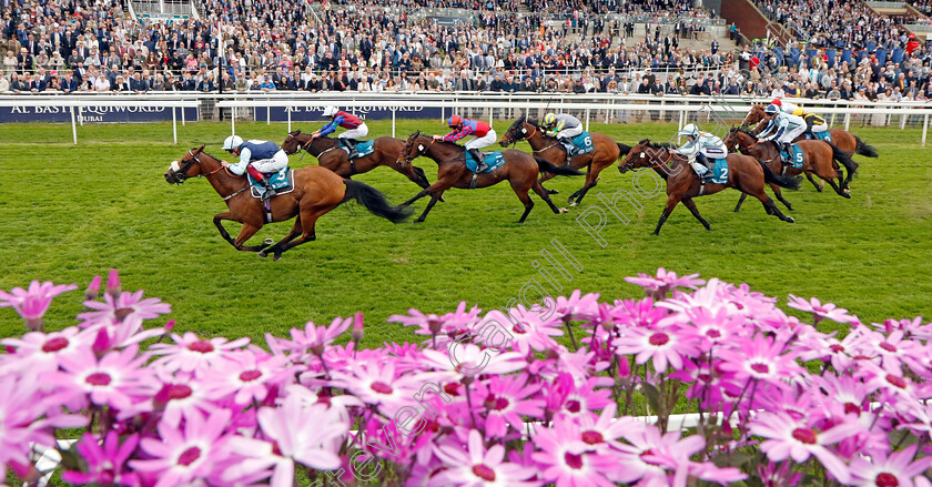 Regional-0003 
 REGIONAL (Callum Rodriguez) wins The Lindum York Handicap
York 18 May 2023 - Pic Steven Cargill / Racingfotos.com