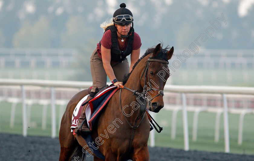 East-Asia-0001 
 EAST ASIA training for the Dubai Gold Cup
Meydan, Dubai, 22 Mar 2022 - Pic Steven Cargill / Racingfotos.com