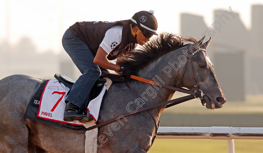 Pavel-0001 
 PAVEL exercising in preparation for The Dubai World Cup Meydan 28 Mar 2018 - Pic Steven Cargill / Racingfotos.com