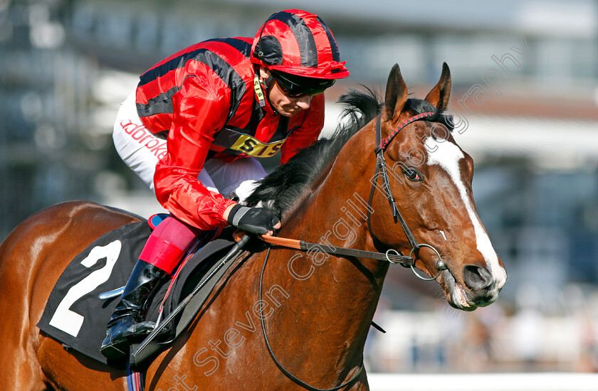 Bartholomeu-Dias-0002 
 BARTHOLOMEU DIAS (Frankie Dettori) Newbury 20 Apr 2018 - Pic Steven Cargill / Racingfotos.com