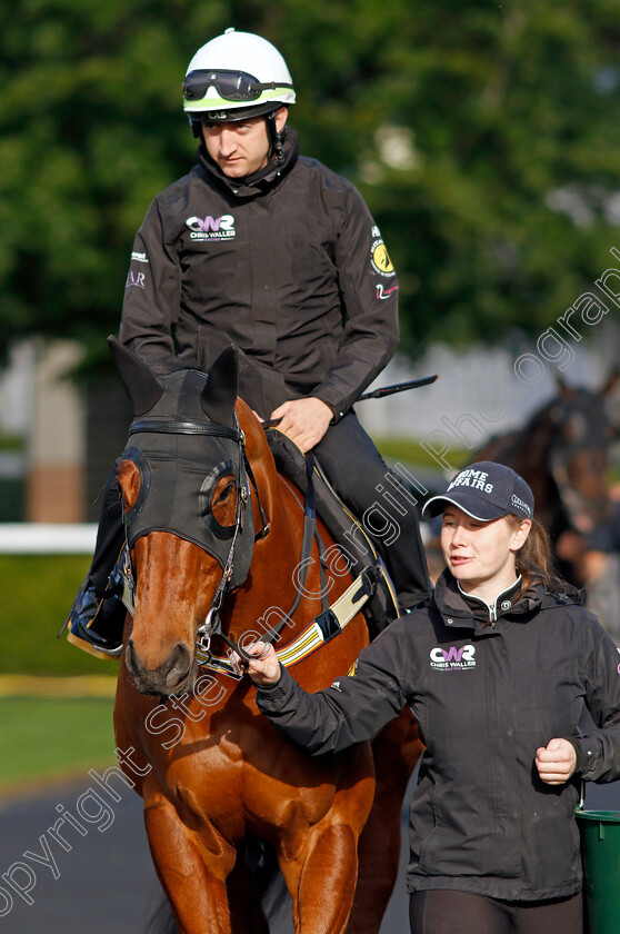 Home-Affairs-0001 
 HOME AFFAIRS - Australia to Ascot, preparing for the Royal Meeting.
Ascot 10 Jun 2022 - Pic Steven Cargill / Racingfotos.com