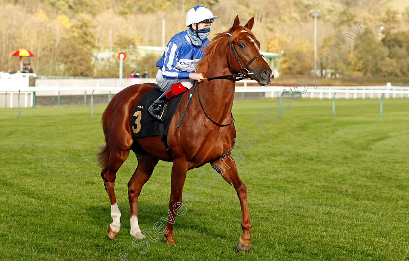 Fantastic-Fox-0001 
 FANTASTIC FOX (David Egan)
Nottingham 4 Nov 2020 - Pic Steven Cargill / Racingfotos.com