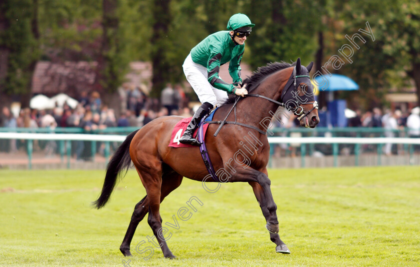 Beatboxer-0001 
 BEATBOXER (Robert Havlin) before winning The Amix Silver Bowl Handicap
Haydock 25 May 2019 - Pic Steven Cargill / Racingfotos.com