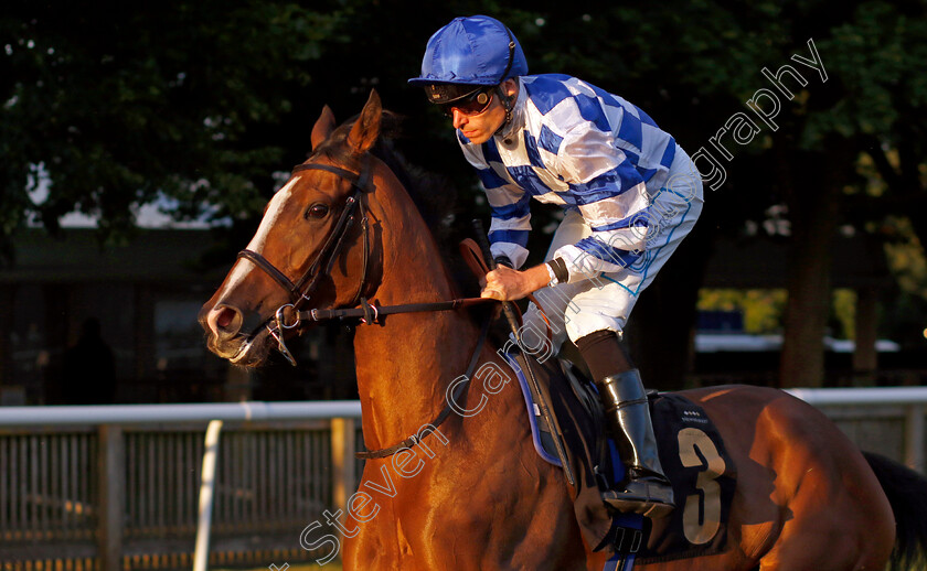 Xiomara-0002 
 XIOMARA (Kieran Shoemark)
Newmarket 28 Jun 2024 - Pic Steven Cargill / Racingfotos.com