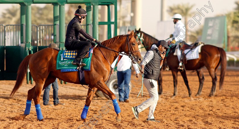 Taiba-0005 
 TAIBA training for the Saudi Cup
King Abdulaziz Racecourse, Kingdom Of Saudi Arabia, 23 Feb 2023 - Pic Steven Cargill / Racingfotos.com