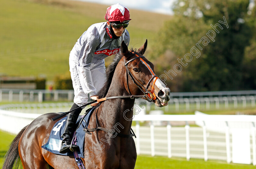 Bimble-0001 
 BIMBLE (George Wood)
Goodwood 11 Oct 2020 - Pic Steven Cargill / Racingfotos.com