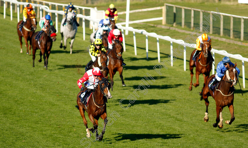 Jackamundo-0003 
 JACKAMUNDO (left, Harrison Shaw) beats DAS KAPITAL (right) in The Cazoo Handicap
Yarmouth 18 Oct 2022 - Pic Steven Cargill / Racingfotos.com