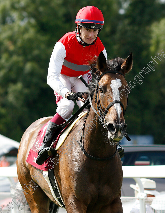 Deirdre-0014 
 DEIRDRE (Oisin Murphy) after The Qatar Nassau Stakes
Goodwood 1 Aug 2019 - Pic Steven Cargill / Racingfotos.com