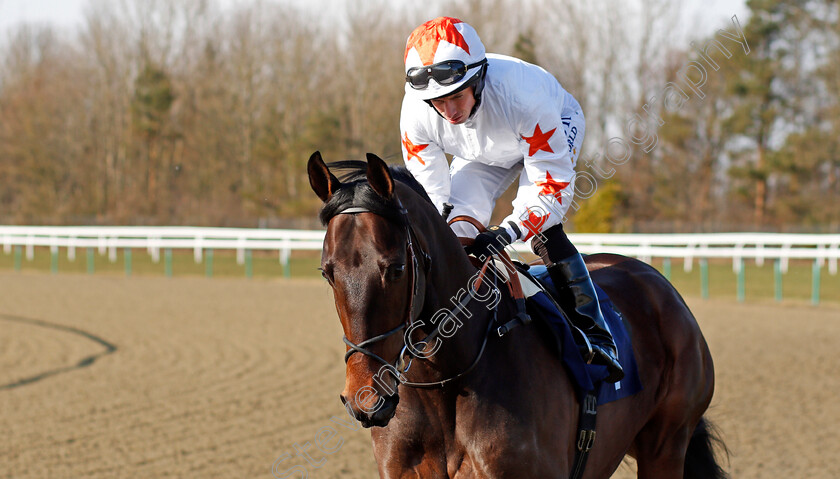 Walk-In-The-Sun-0001 
 WALK IN THE SUN (Ryan Moore) winner of The 32Red Casino Novice Stakes Lingfield 27 Feb 2018 - Pic Steven Cargill / Racingfotos.com