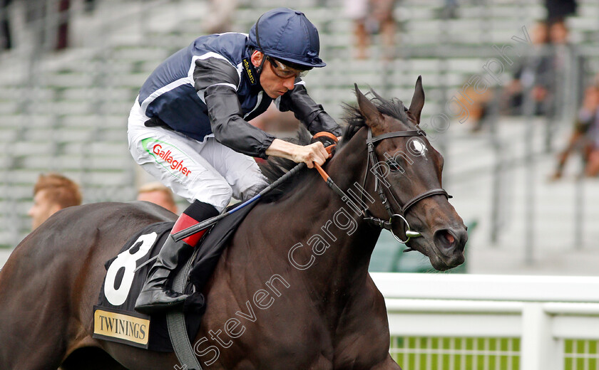 Odyssa-0008 
 ODYSSA (Shane Kelly) wins The Twinings Novice Auction Stakes Div2 Ascot 8 Sep 2017 - Pic Steven Cargill / Racingfotos.com