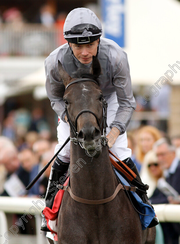 Stage-Play-0001 
 STAGE PLAY (Jamie Spencer)
York 23 Aug 2018 - Pic Steven Cargill / Racingfotos.com