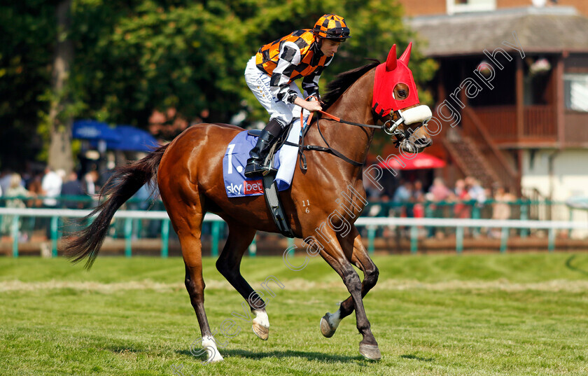 The-Astrologist-0001 
 THE ASTROLOGIST (Ryan Moore)
Haydock 10 Jun 2023 - Pic Steven Cargill / Racingfotos.com