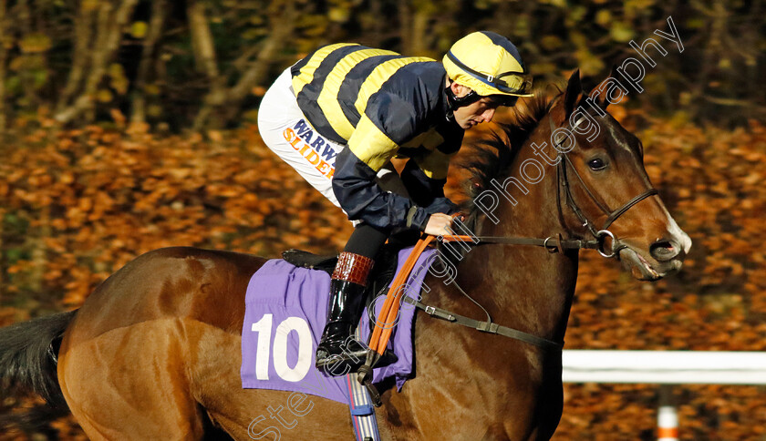 Running-Deal-0001 
 RUNNING DEAL (Trevor Whelan)
Kempton 13 Dec 2023 - Pic Steven Cargill / Racingfotos.com