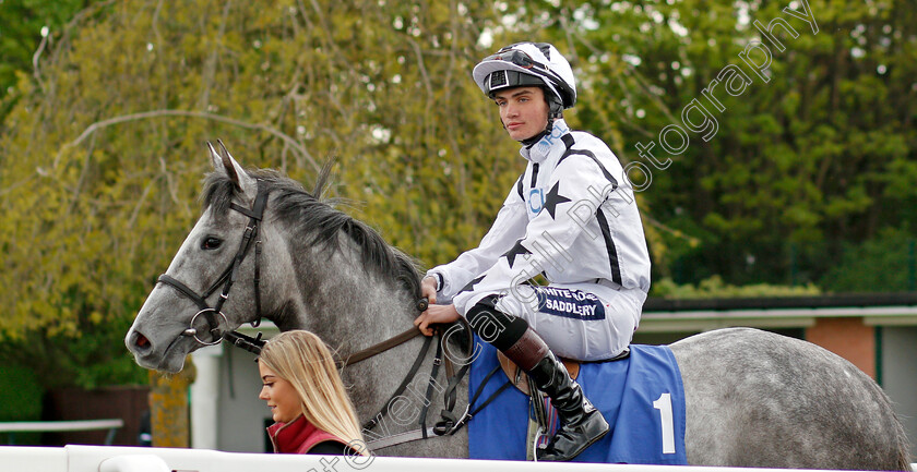 Amazing-Michele-0001 
 AMAZING MICHELE (Connor Murtagh) Nottingham 1 May 2018 - Pic Steven Cargill / Racingfotos.com