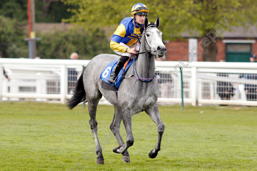 Flippa-The-Strippa-0002 
 FLIPPA THE STRIPPA (Richard Kingscote)
Nottingham 30 Apr 2019 - Pic Steven Cargill / Racingfotos.com