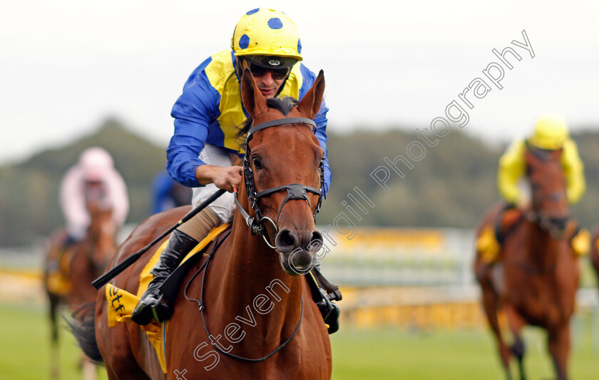 Favorite-Moon-0008 
 FAVORITE MOON (Andrea Atzeni) wins The Best Odds On Betfair Exchange Handicap
Haydock 5 Sep 2020 - Pic Steven Cargill / Racingfotos.com