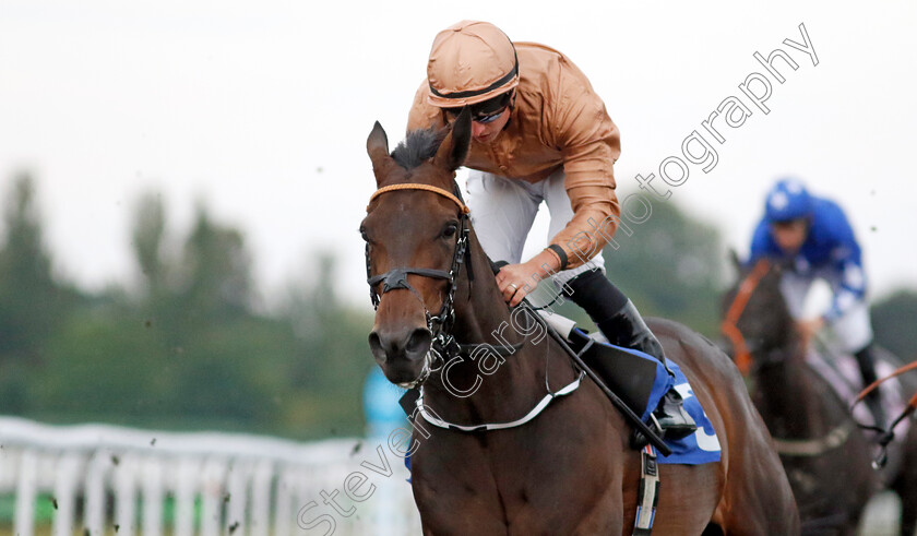 Cognisance-0001 
 COGNISANCE (Tom Marquand) wins The Unibet Support Safe Gambling Novice Stakes Div2
Kempton 28 Aug 2024 - Pic Steven Cargill / Racingfotos.com