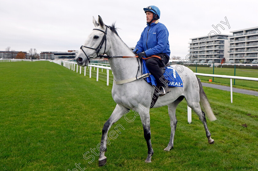 Eldorado-Allen-0001 
 ELDORADO ALLEN
Coral Gold Cup Gallops Morning
Newbury 21 Nov 2023 - Pic Steven Cargill / Racingfotos.com