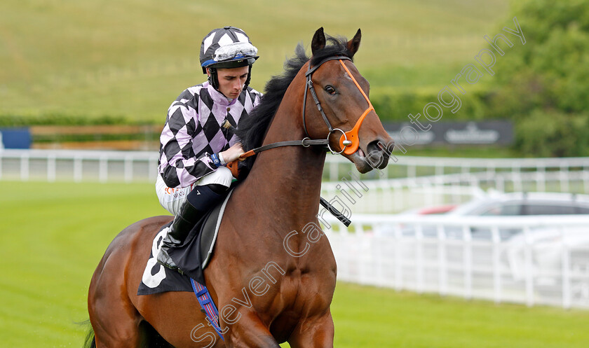 Indian-Renegade 
 INDIAN RENEGADE (Rossa Ryan)
Goodwood 20 May 2022 - Pic Steven Cargill / Racingfotos.com