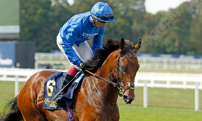 Olympic-Candle-0009 
 OLYMPIC CANDLE (Oisin Murphy) winner of The Charbonnel Et Walker British EBF Maiden Stakes
Ascot 8 Sep 2023 - Pic Steven Cargill / Racingfotos.com